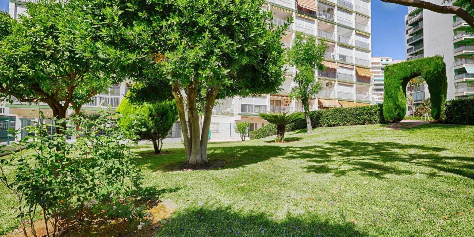 Apartamento Brasil Mar Playa de Gandia Экстерьер фото